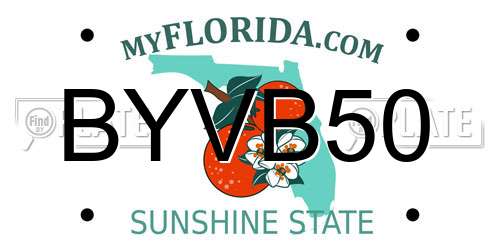 BYVB50 Florida License Plate