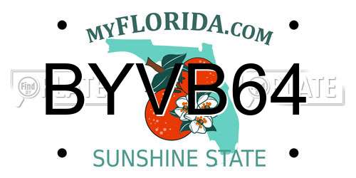 BYVB64 Florida License Plate