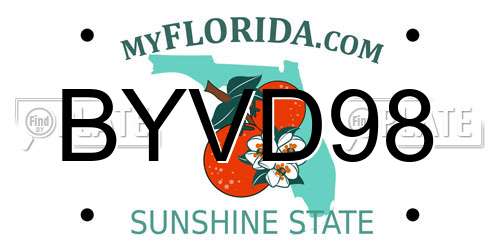 BYVD98 Florida License Plate