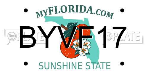 BYVF17 Florida License Plate