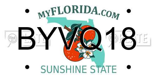 BYVQ18 Florida License Plate