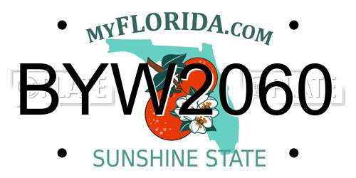 BYW2060 Florida License Plate