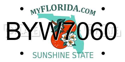 BYW7060 Florida License Plate