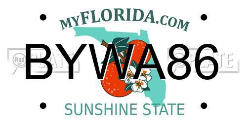 BYWA86 Florida License Plate