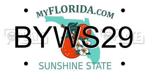 BYWS29 Florida License Plate