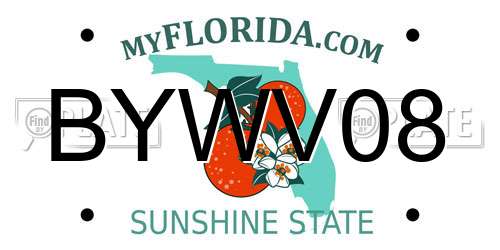 BYWV08 Florida License Plate