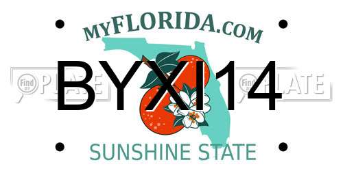 BYXI14 Florida License Plate