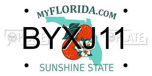 BYXJ11 Florida License Plate