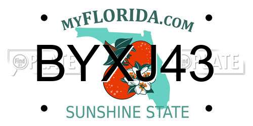 BYXJ43 Florida License Plate