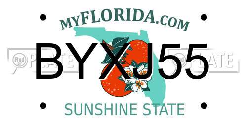 BYXJ55 Florida License Plate