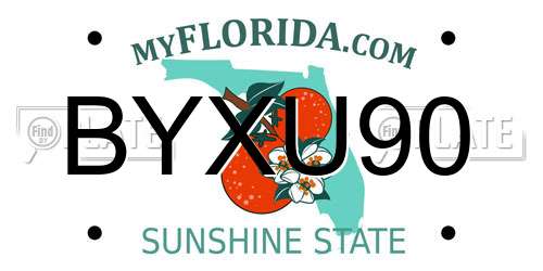 BYXU90 Florida License Plate