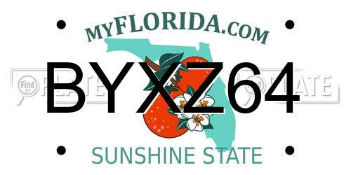 BYXZ64 Florida License Plate