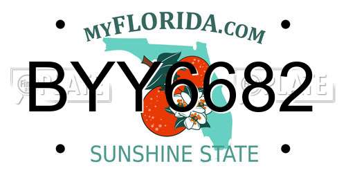 BYY6682 Florida License Plate