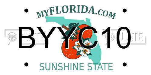 BYYC10 Florida License Plate