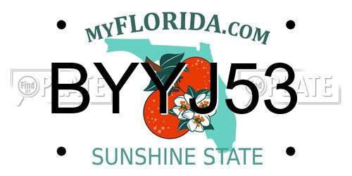 BYYJ53 Florida License Plate