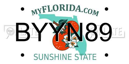 BYYN89 Florida License Plate