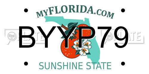 BYYP79 Florida License Plate