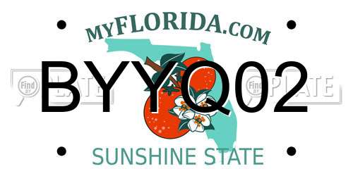 BYYQ02 Florida License Plate