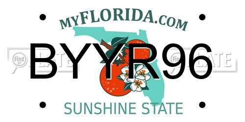 BYYR96 Florida License Plate