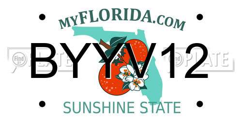 BYYV12 Florida License Plate