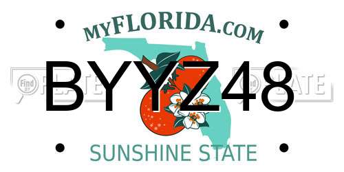 BYYZ48 Florida License Plate