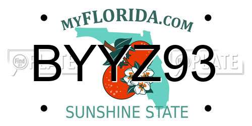 BYYZ93 Florida License Plate