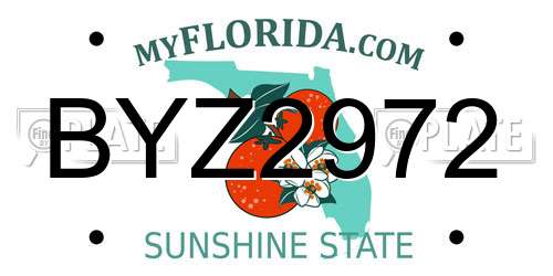 BYZ2972 Florida License Plate