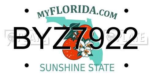 BYZ7922 Florida License Plate