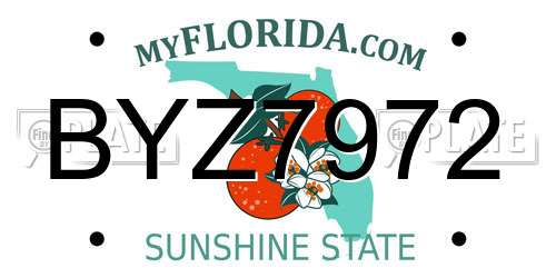 BYZ7972 Florida License Plate