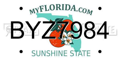 BYZ7984 Florida License Plate