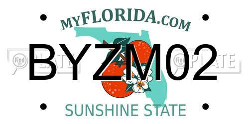 BYZM02 Florida License Plate