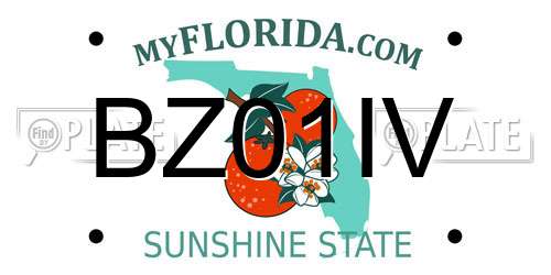 BZ01IV Florida License Plate