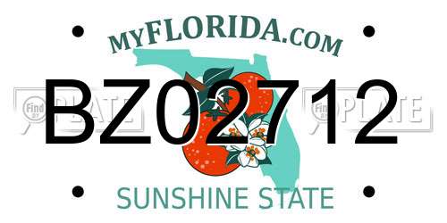 BZ02712 Florida License Plate