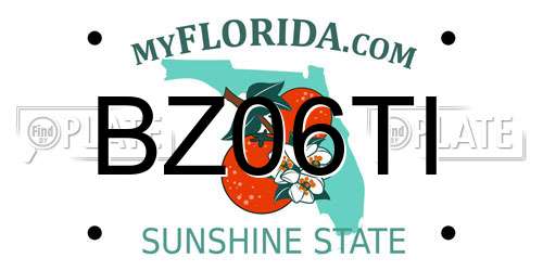BZ06TI Florida License Plate