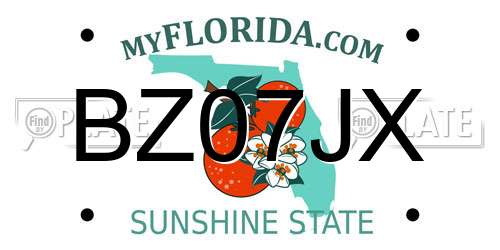 BZ07JX Florida License Plate