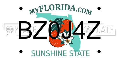 BZ0J4Z Florida License Plate