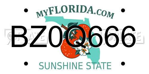 BZ0Q666 Florida License Plate