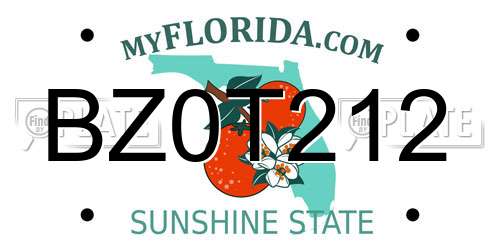BZ0T212 Florida License Plate