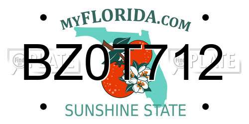 BZ0T712 Florida License Plate