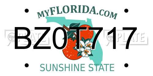BZ0T717 Florida License Plate