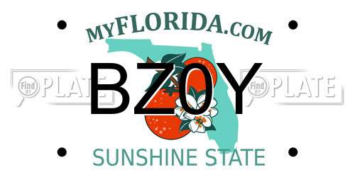 BZ0Y Florida License Plate
