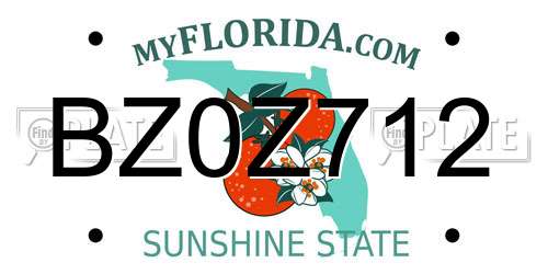 BZ0Z712 Florida License Plate