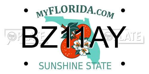 BZ11AY Florida License Plate
