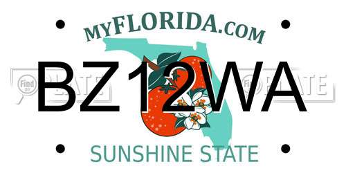 BZ12WA Florida License Plate