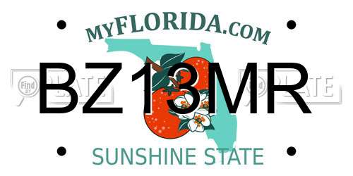 BZ13MR Florida License Plate
