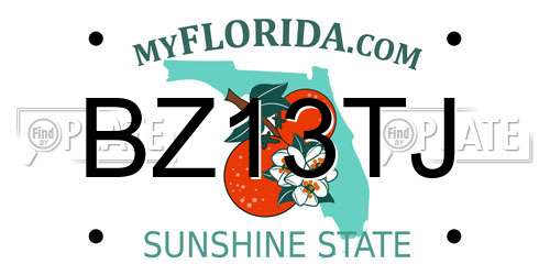 BZ13TJ Florida License Plate