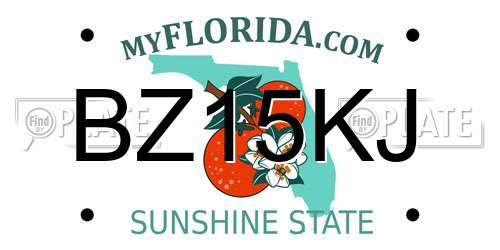 BZ15KJ Florida License Plate