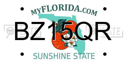 BZ15QR Florida License Plate