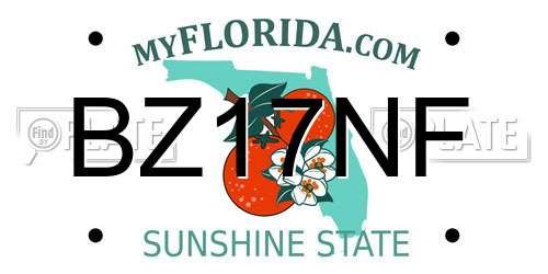 BZ17NF Florida License Plate