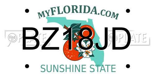 BZ18JD Florida License Plate